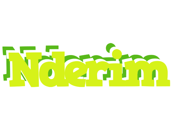 Nderim citrus logo