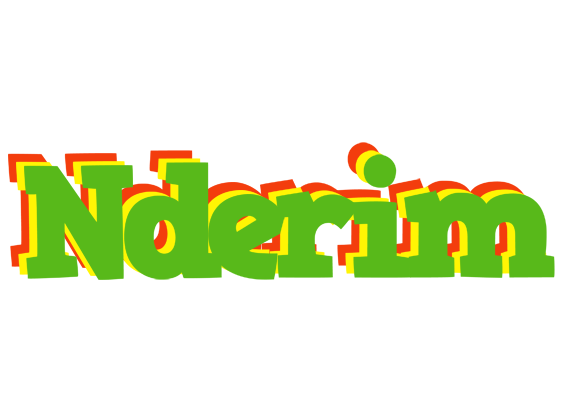 Nderim crocodile logo