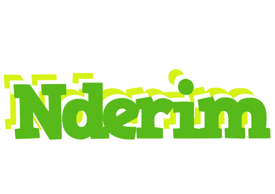 Nderim picnic logo