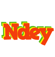 Ndey bbq logo