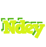 Ndey citrus logo