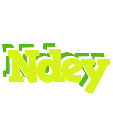 Ndey citrus logo