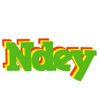 Ndey crocodile logo