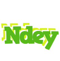 Ndey picnic logo