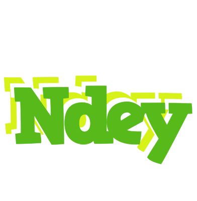 Ndey picnic logo