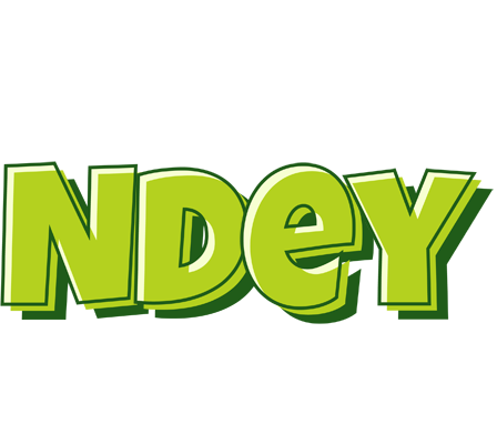 Ndey summer logo