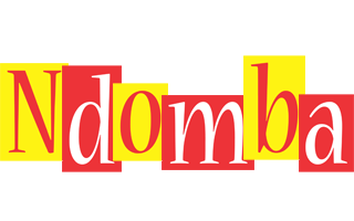 Ndomba errors logo