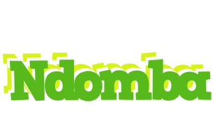 Ndomba picnic logo