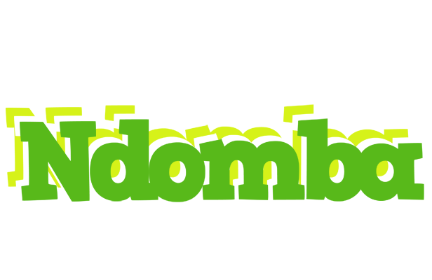 Ndomba picnic logo
