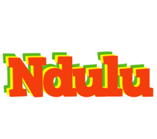 Ndulu bbq logo