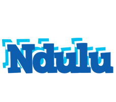 Ndulu business logo