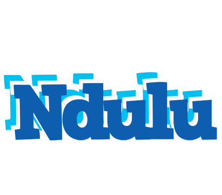 Ndulu business logo
