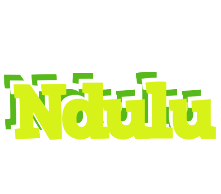Ndulu citrus logo