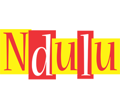 Ndulu errors logo