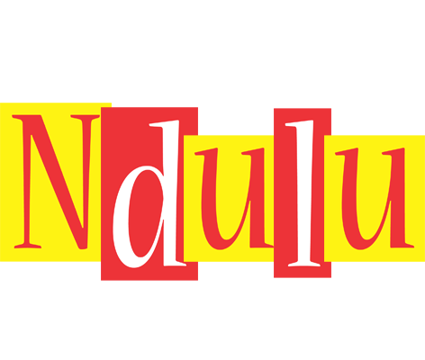 Ndulu errors logo