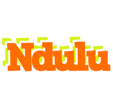 Ndulu healthy logo