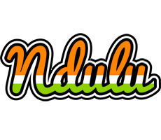 Ndulu mumbai logo