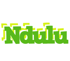 Ndulu picnic logo