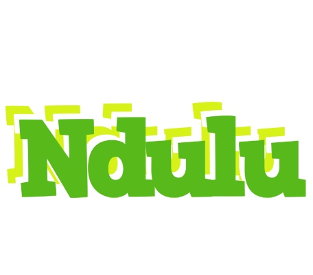 Ndulu picnic logo