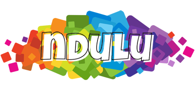 Ndulu pixels logo