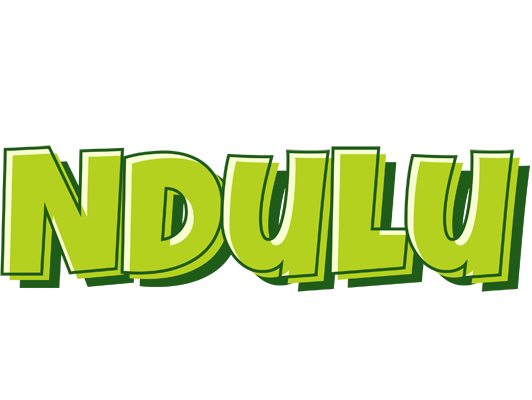 Ndulu summer logo