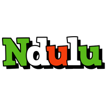 Ndulu venezia logo