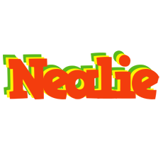 Nealie bbq logo