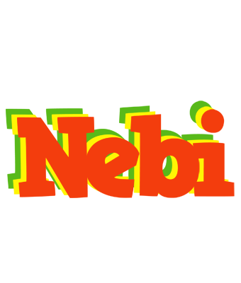 Nebi bbq logo