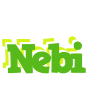 Nebi picnic logo