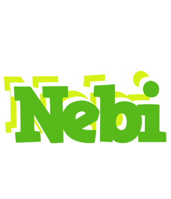 Nebi picnic logo
