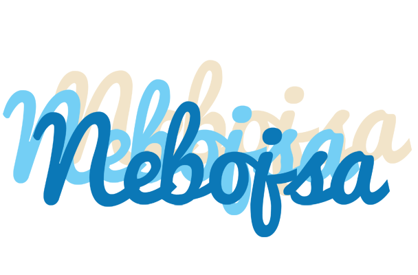 Nebojsa breeze logo