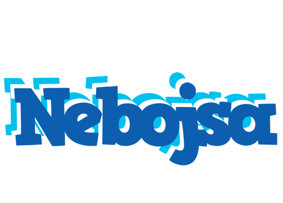 Nebojsa business logo