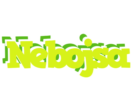 Nebojsa citrus logo