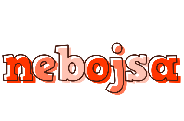 Nebojsa paint logo