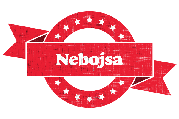 Nebojsa passion logo