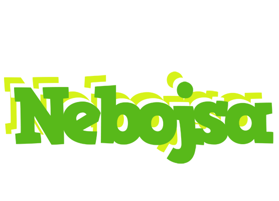 Nebojsa picnic logo