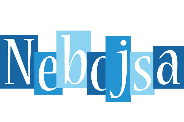 Nebojsa winter logo