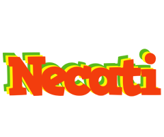 Necati bbq logo