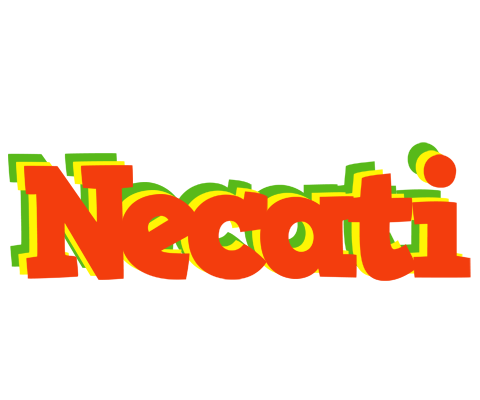 Necati bbq logo