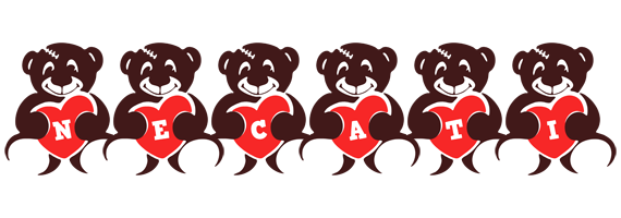 Necati bear logo