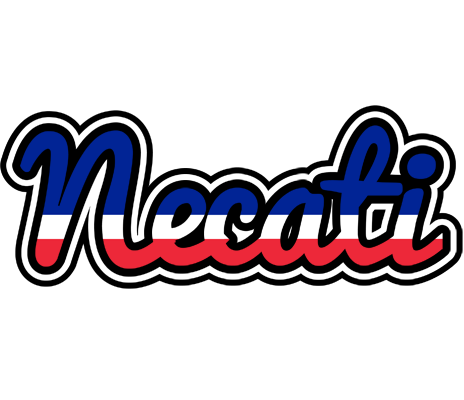 Necati france logo