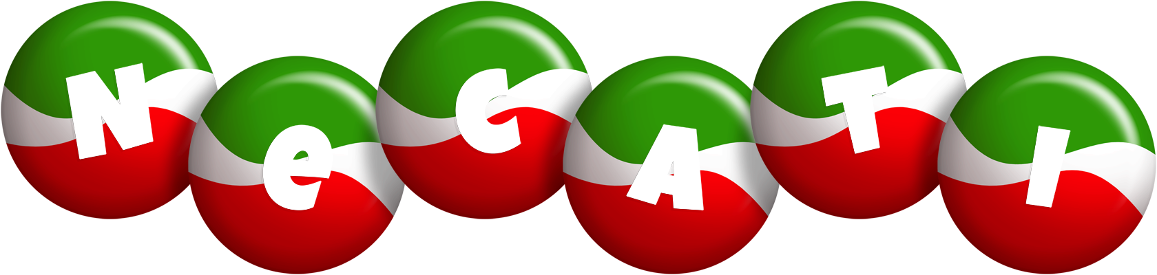 Necati italy logo