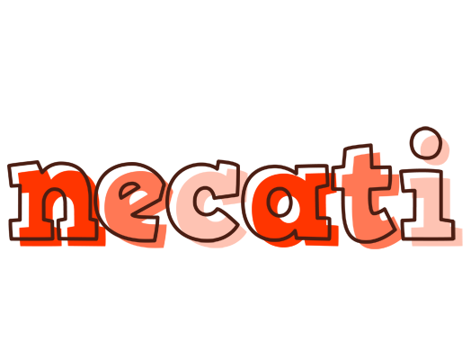 Necati paint logo