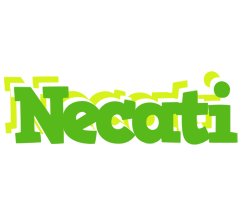 Necati picnic logo