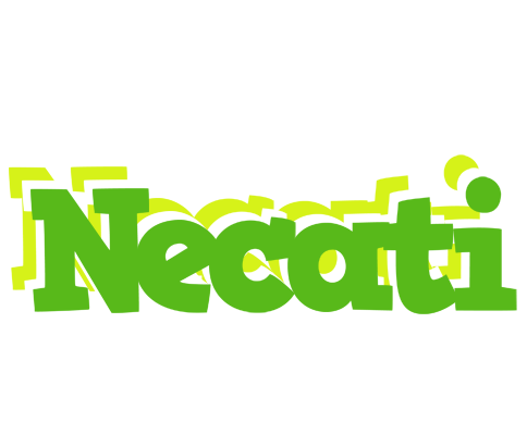 Necati picnic logo