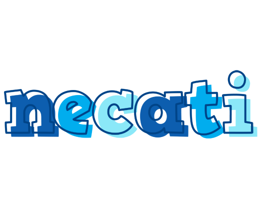 Necati sailor logo