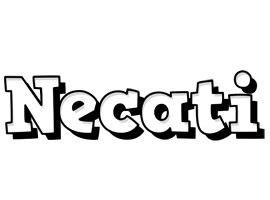 Necati snowing logo