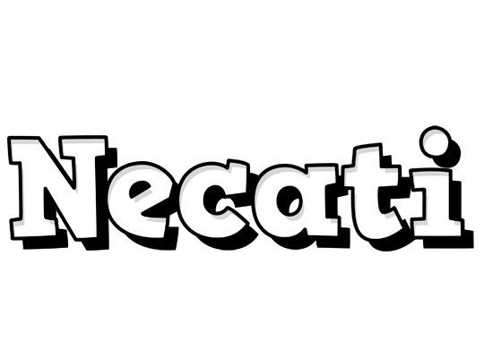 Necati snowing logo