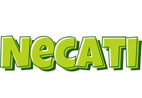 Necati summer logo