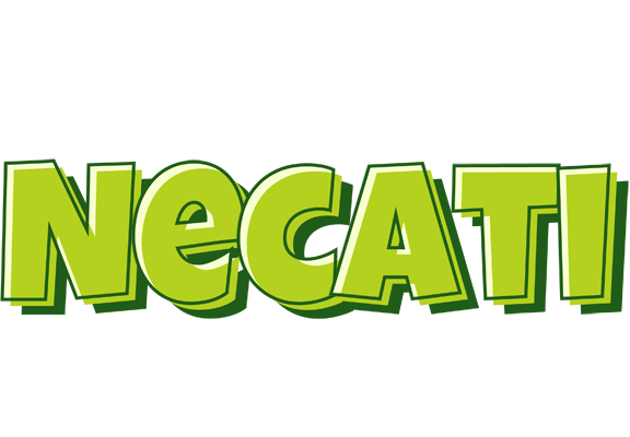 Necati summer logo